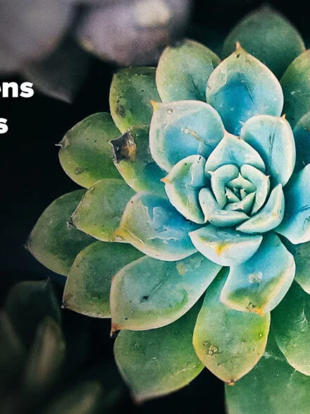 Cinematic Lens Photo Effects Pack Graphics - Image 6
