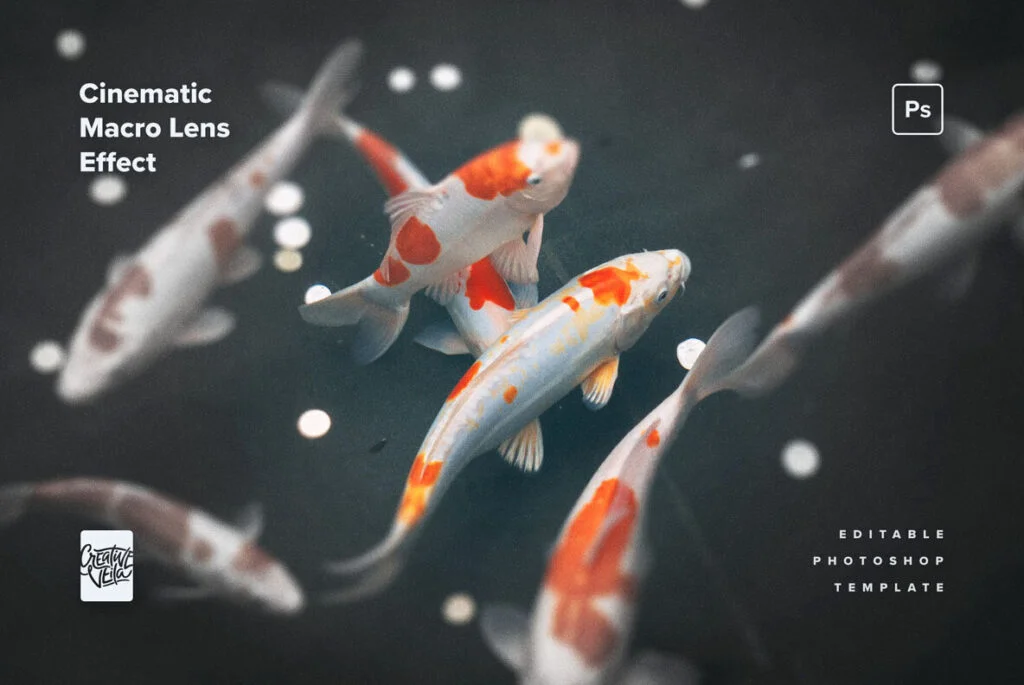 E8675_02.jpg E8675_02.jpg