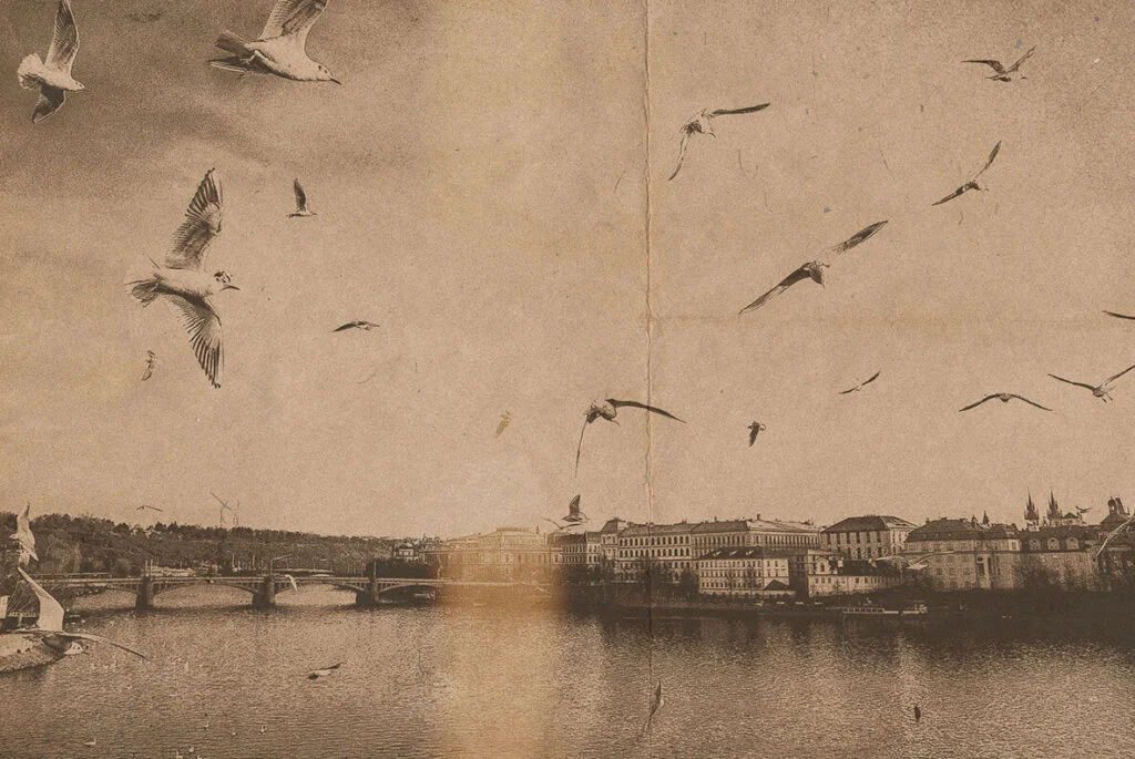 E8683_02.jpg E8683_02.jpg