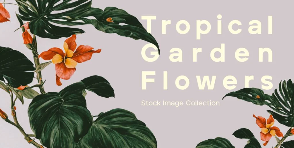 Tropical Garden Flowers Graphics - Image 2