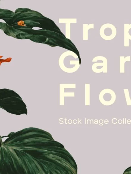 Tropical Garden Flowers Graphics - Image 9