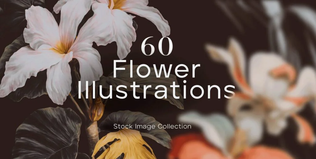 60 Flower Illustrations Graphics - Image 2