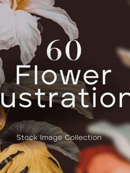 60 Flower Illustrations Graphics - Image 10