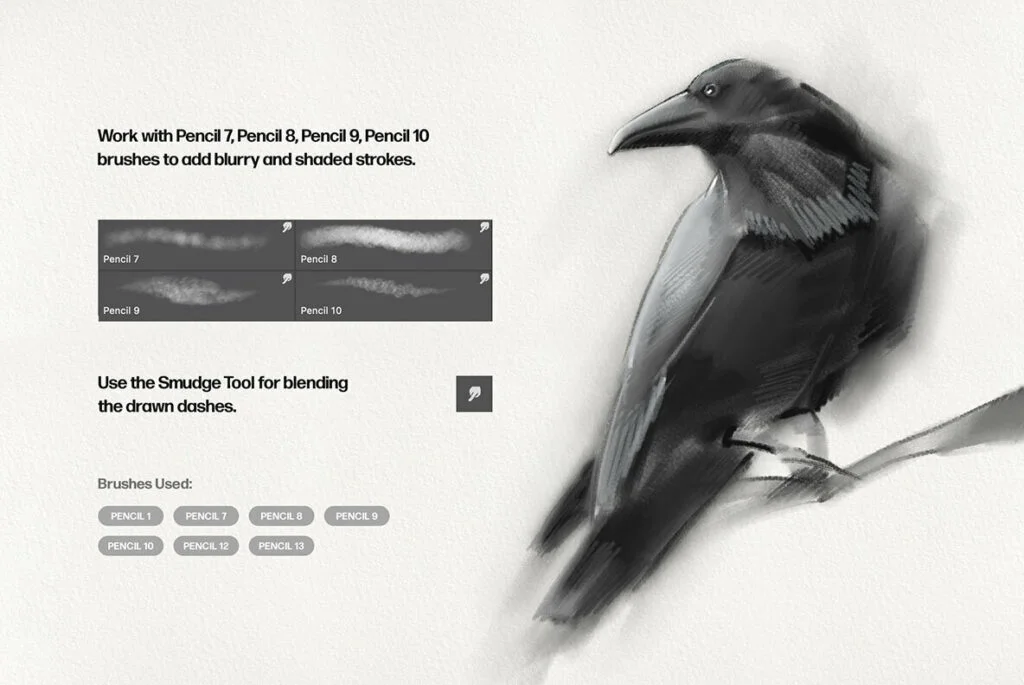 E7093_03.jpg E7093_03.jpg