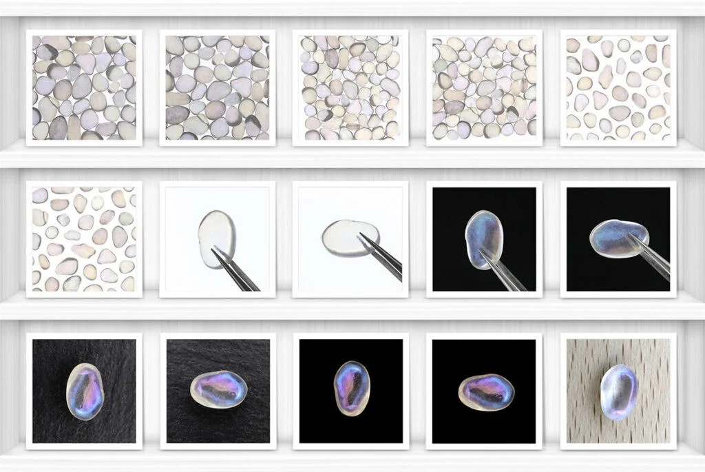 E7255_03.jpg E7255_03.jpg