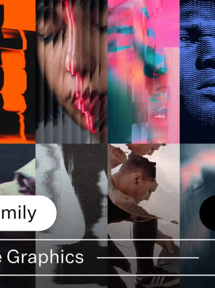 Studio Family Complete Graphics Bundle Graphics - Image 9