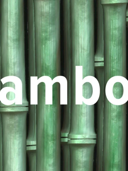 Bamboo Textures Graphics - Image 6
