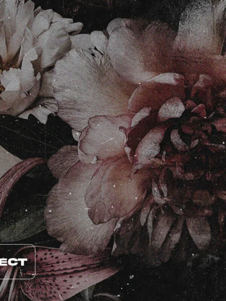 Xerox Distorted Copier Graphics - Image 2