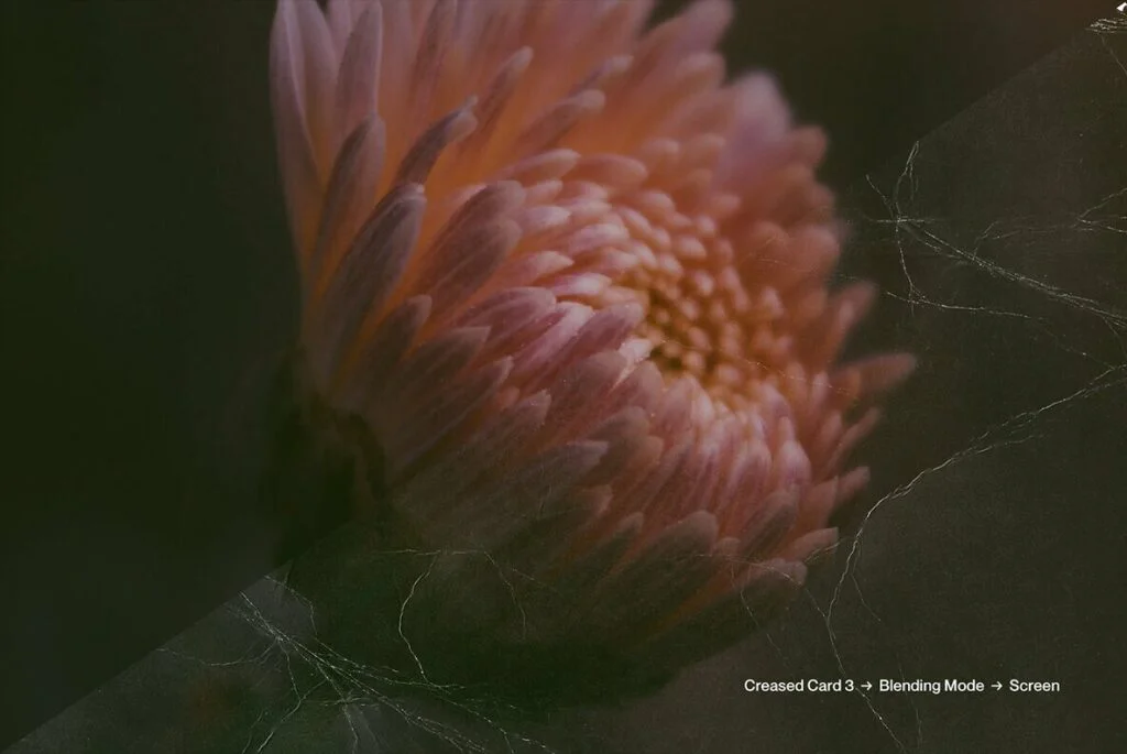 E7478_05.jpg E7478_05.jpg