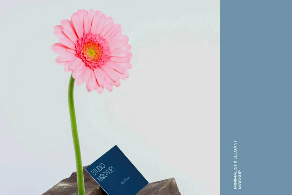 E7504_01.jpg E7504_01.jpg