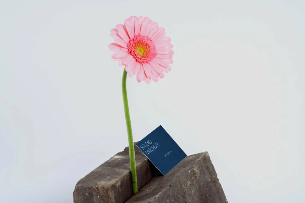 E7504_03.jpg E7504_03.jpg