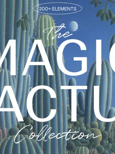 Magic Cactus Graphics - Image 6