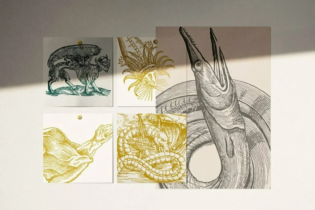 E6524_01.jpg E6524_01.jpg