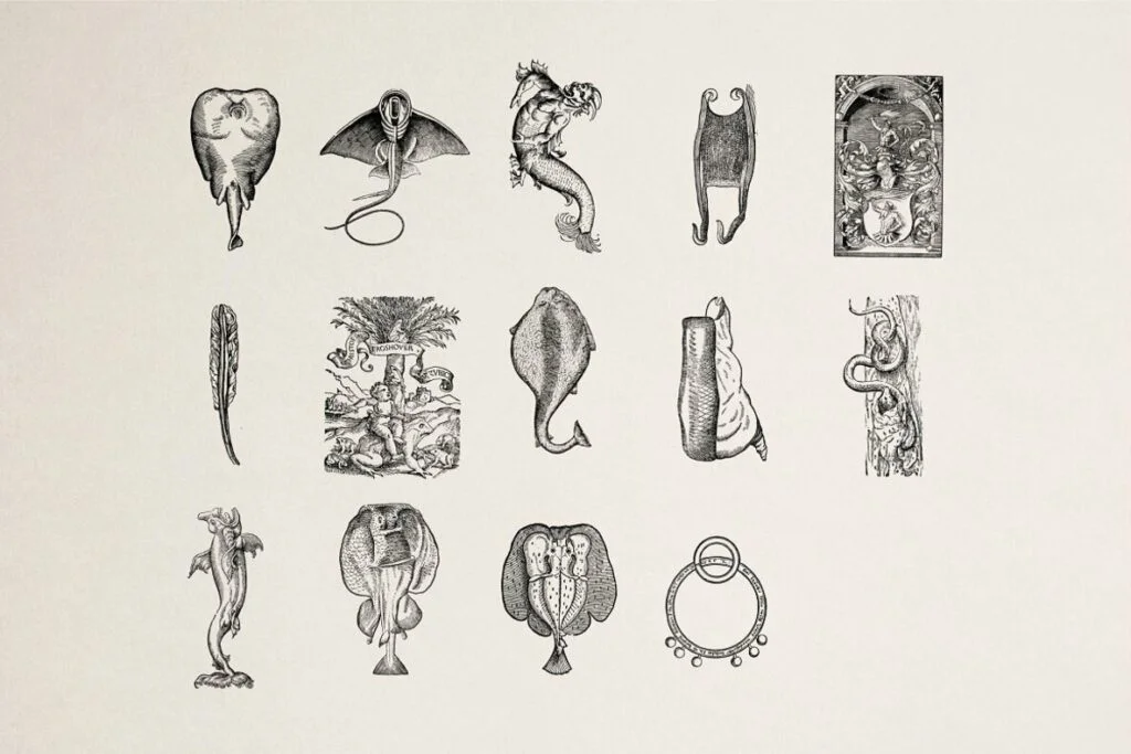 E6524_05.jpg E6524_05.jpg