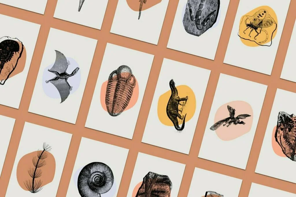 E6538_01.jpg E6538_01.jpg