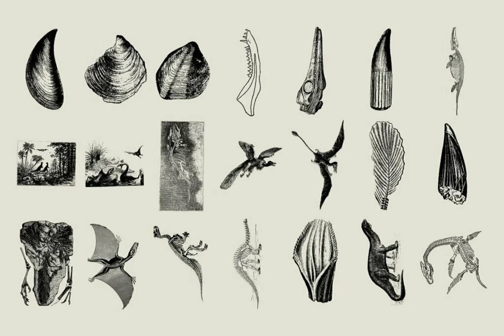 E6538_03.jpg E6538_03.jpg