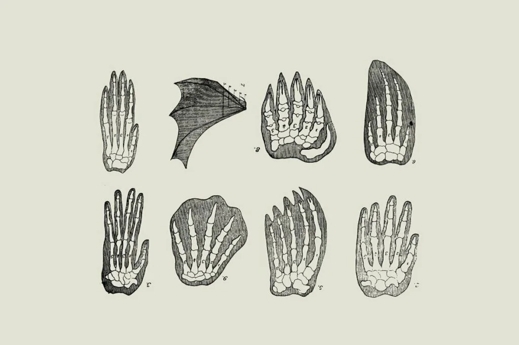 E6538_04.jpg E6538_04.jpg