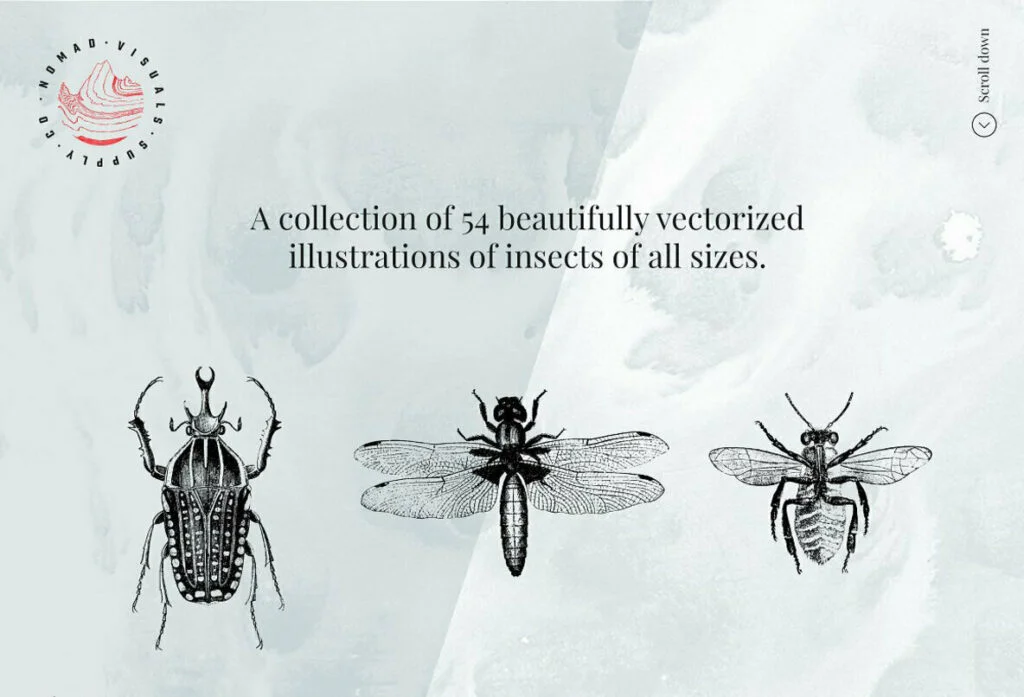 E6539_01.jpg E6539_01.jpg