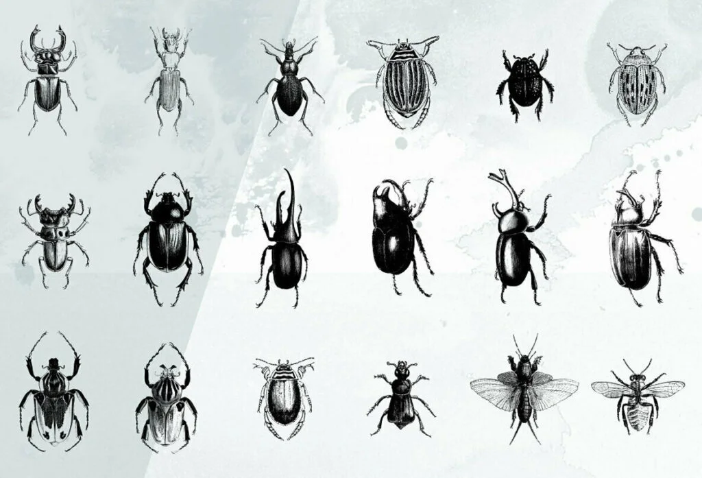 E6539_02.jpg E6539_02.jpg