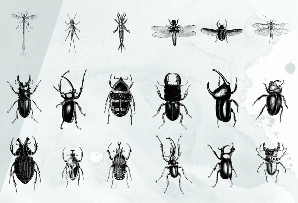 E6539_03.jpg E6539_03.jpg