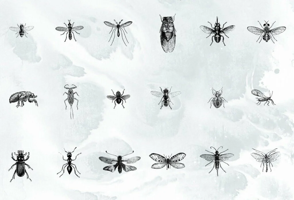 E6539_04.jpg E6539_04.jpg