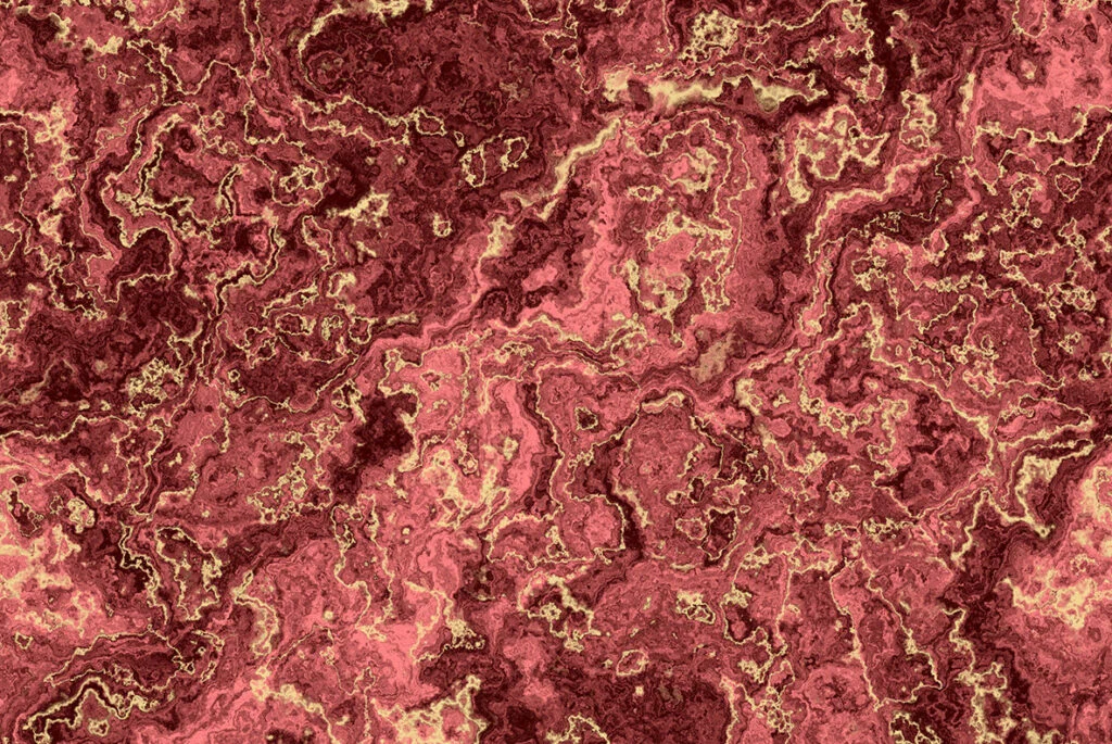 E6565_05.jpg E6565_05.jpg