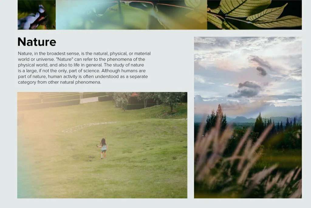 E6576_02.jpg E6576_02.jpg