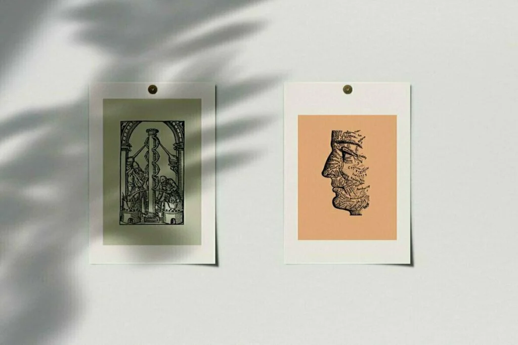 E6578_01.jpg E6578_01.jpg