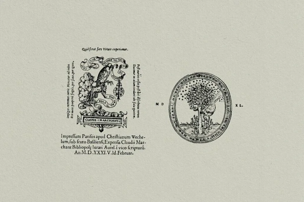 E6582_02.jpg E6582_02.jpg