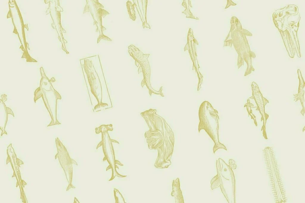 E6583_01.jpg E6583_01.jpg