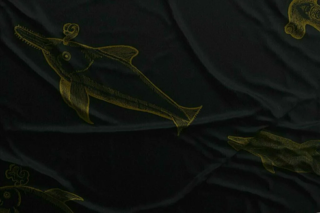 E6583_02.jpg E6583_02.jpg