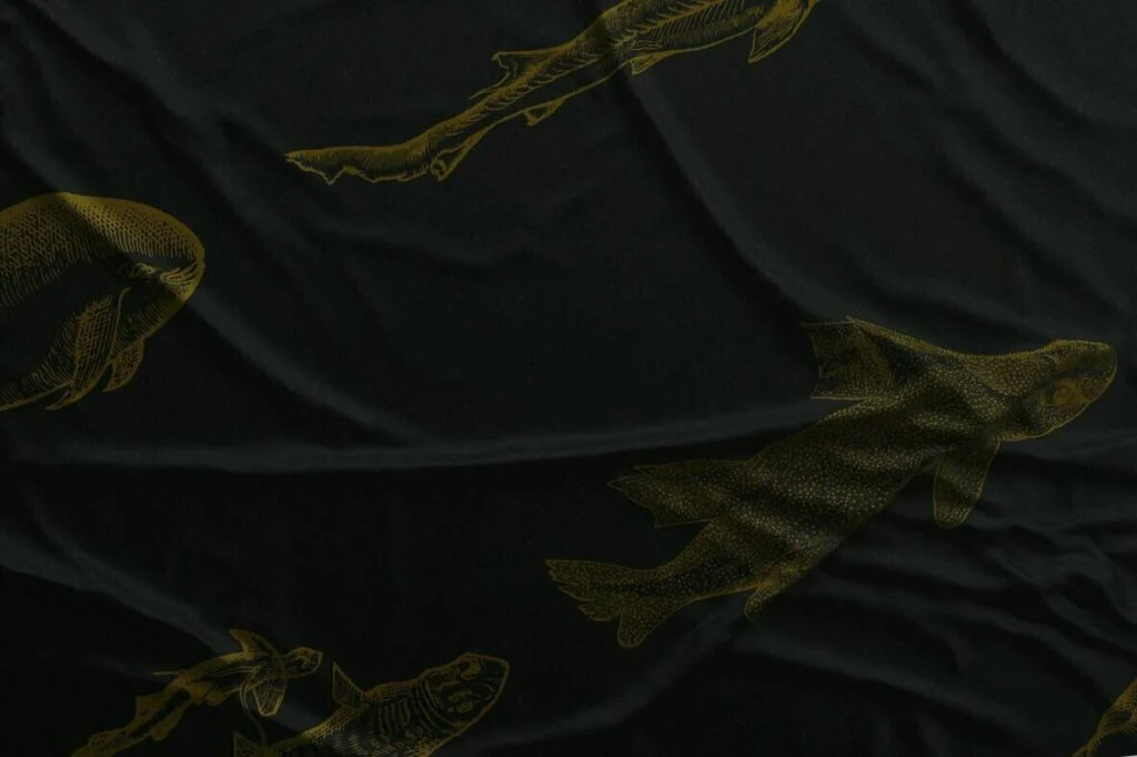 E6583_03.jpg E6583_03.jpg