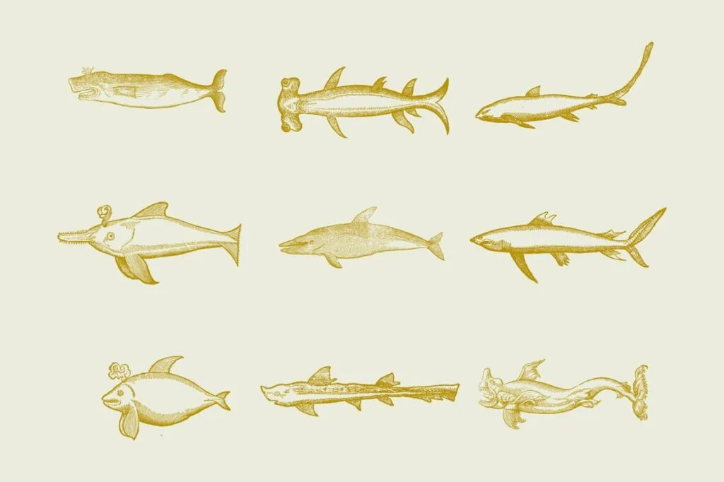 E6583_05.jpg E6583_05.jpg