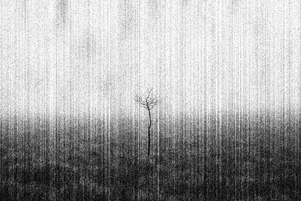 E6588_01.jpg E6588_01.jpg