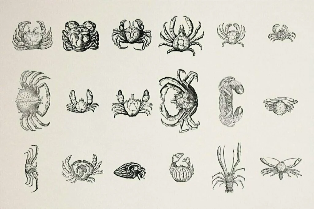 E6688_01.jpg E6688_01.jpg