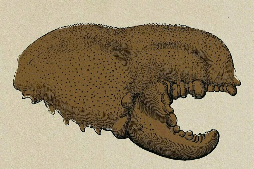 E6688_02.jpg E6688_02.jpg