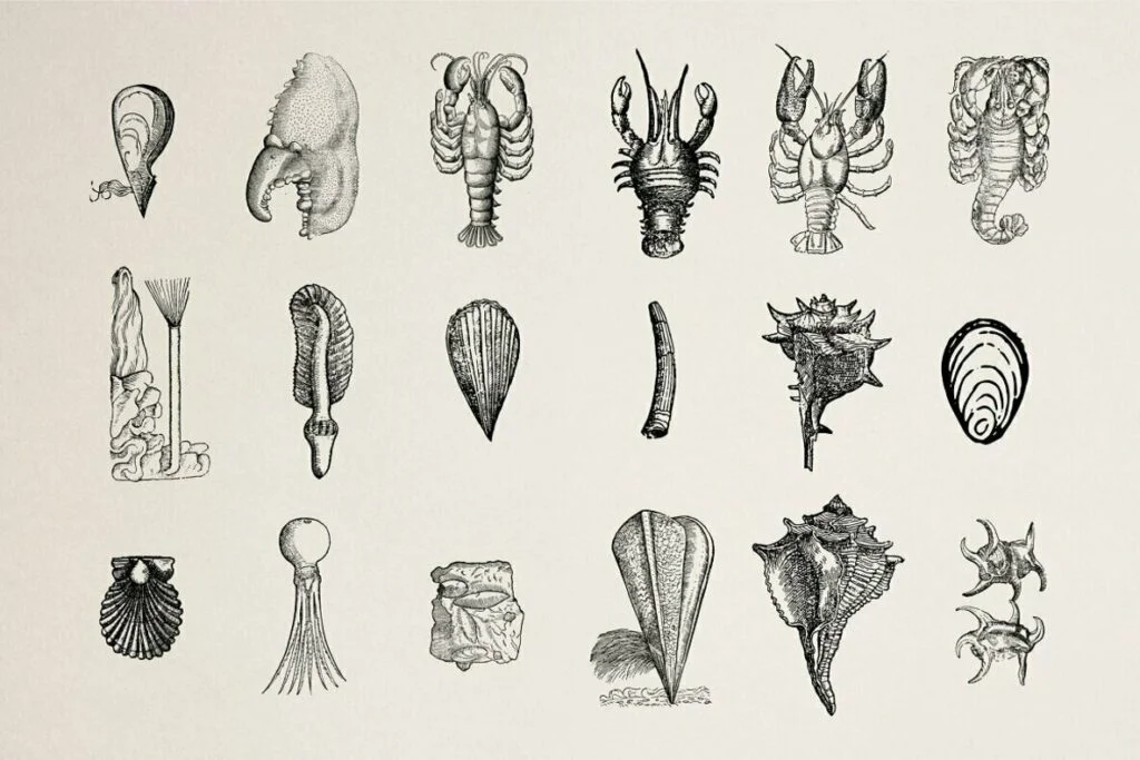 E6688_03.jpg E6688_03.jpg