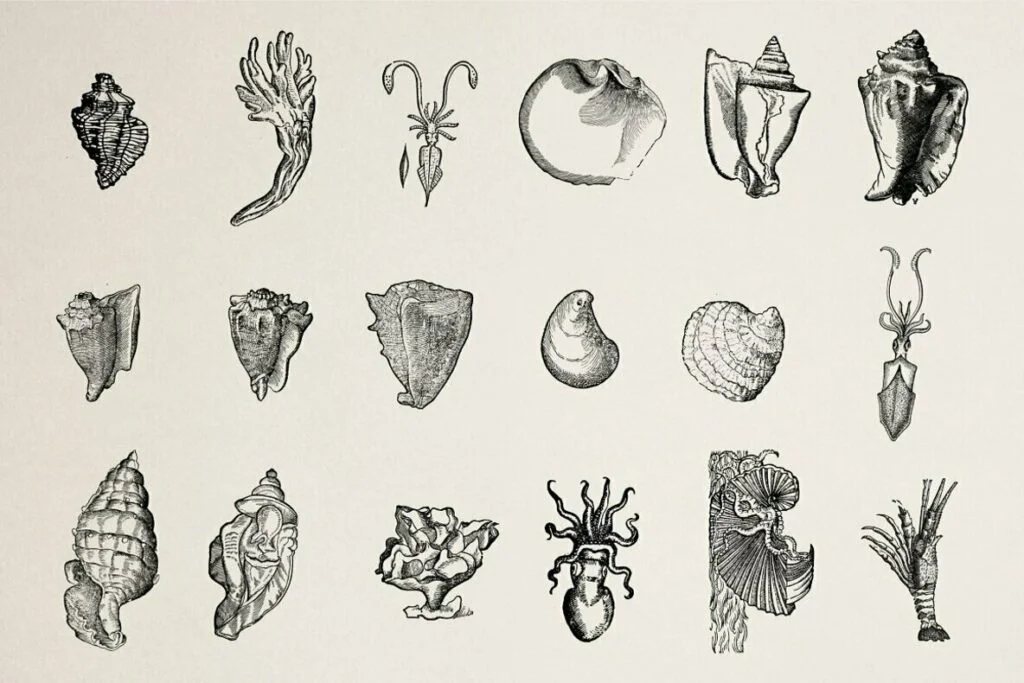 E6688_04.jpg E6688_04.jpg