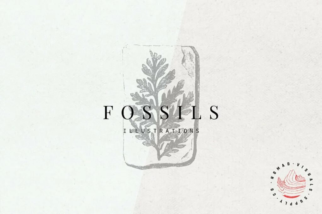 E6694_00.jpg E6694_00.jpg