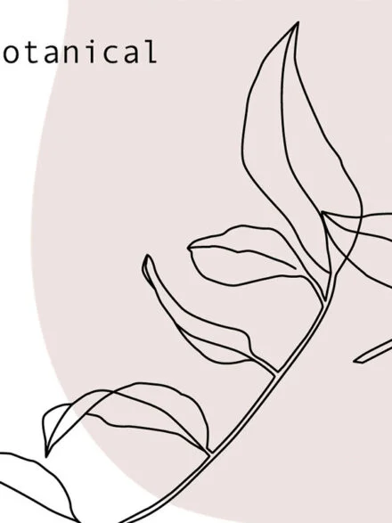 Minimalistic Botanical Collection Graphics - Image 1