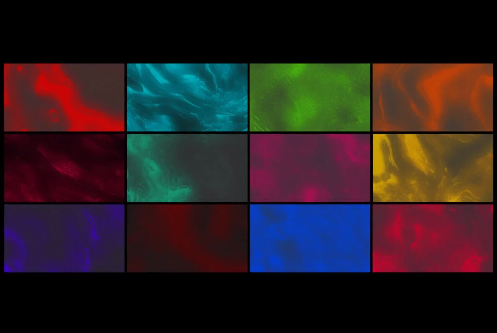 E6756_05.jpg E6756_05.jpg