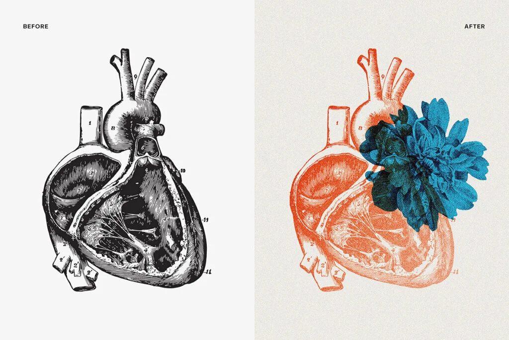 E6768_04.jpg E6768_04.jpg