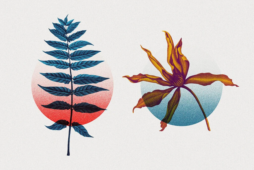 E6768_05.jpg E6768_05.jpg