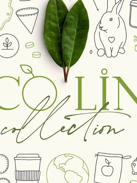 Eco Line Collection Zero Waste Graphics - Image 12