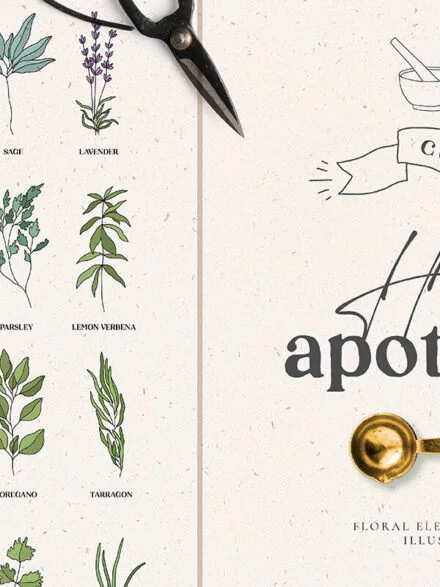 Herbal Apothecary Collection Graphics - Image 3