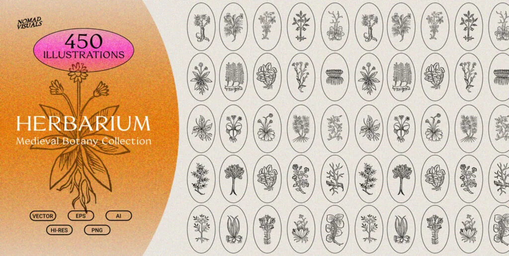 Herbarium – Botanical Collection Graphics - Image 2