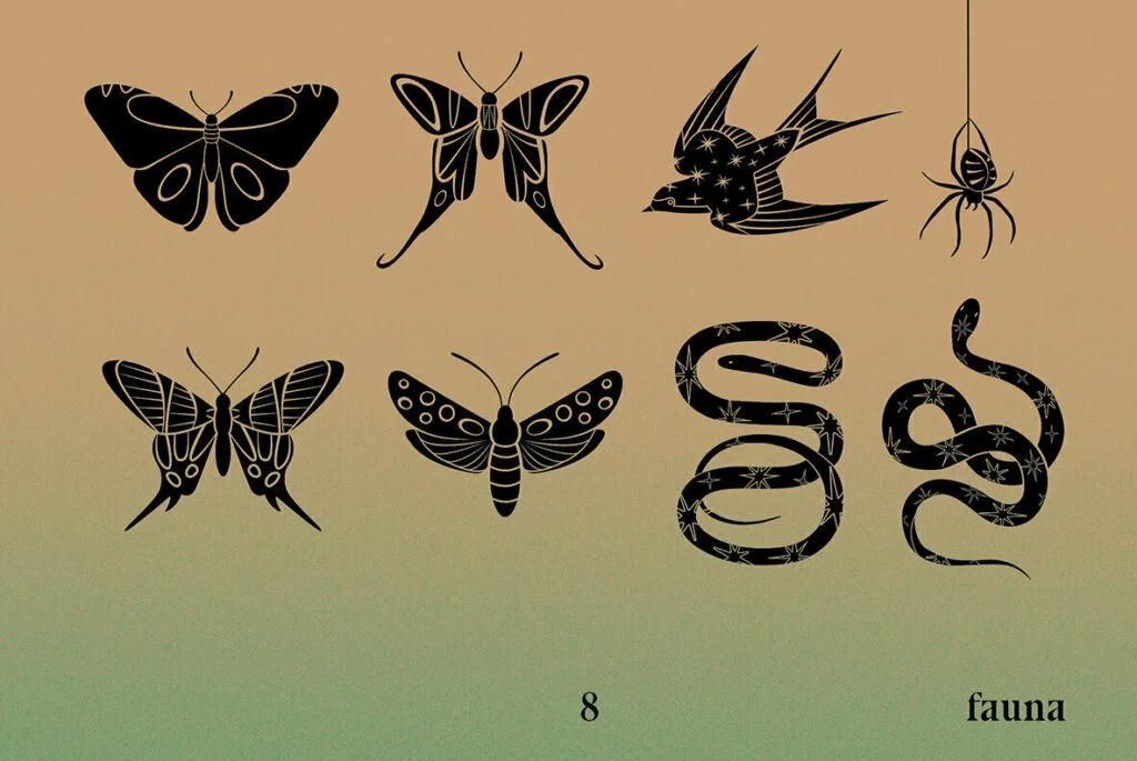 E6817_01.jpg E6817_01.jpg