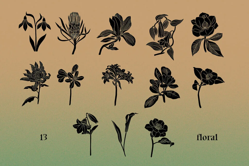 E6817_04.jpg E6817_04.jpg