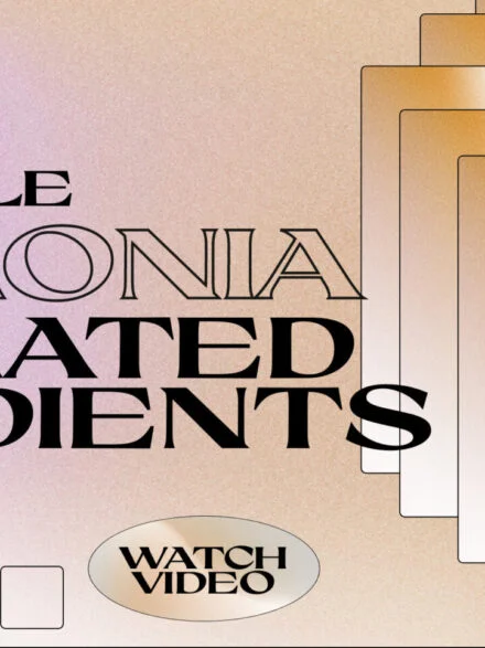 ARMONIA – Animated Gradients Graphics - Image 11