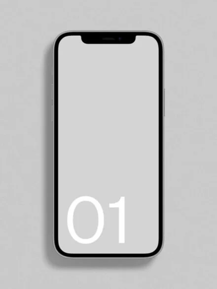 iPhone 12 01 Standard Mockup Graphics - Image 8